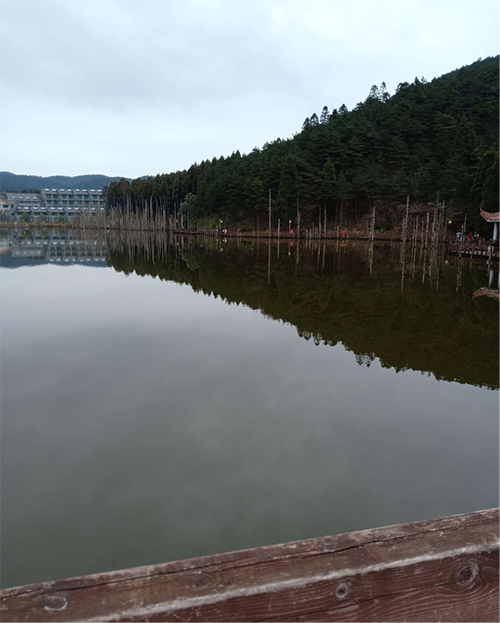 湖南力民電梯有限公司,邵陽電梯銷售,邵陽電梯安裝,湖南電梯維修,自動扶梯,自動人行梯